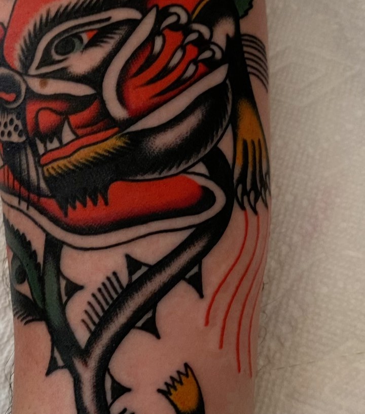 Dragon