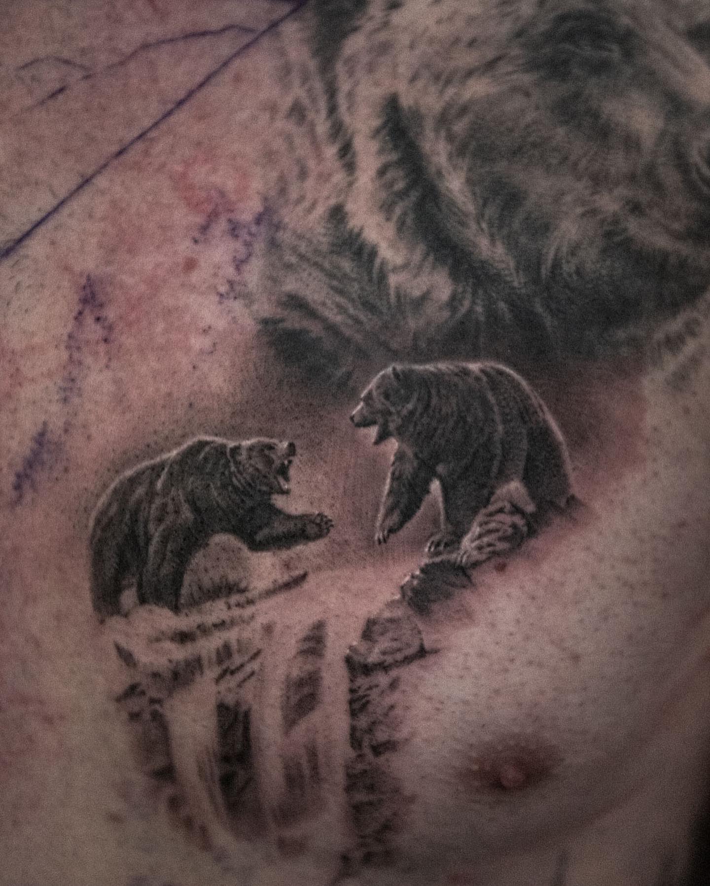 Animal, 곰