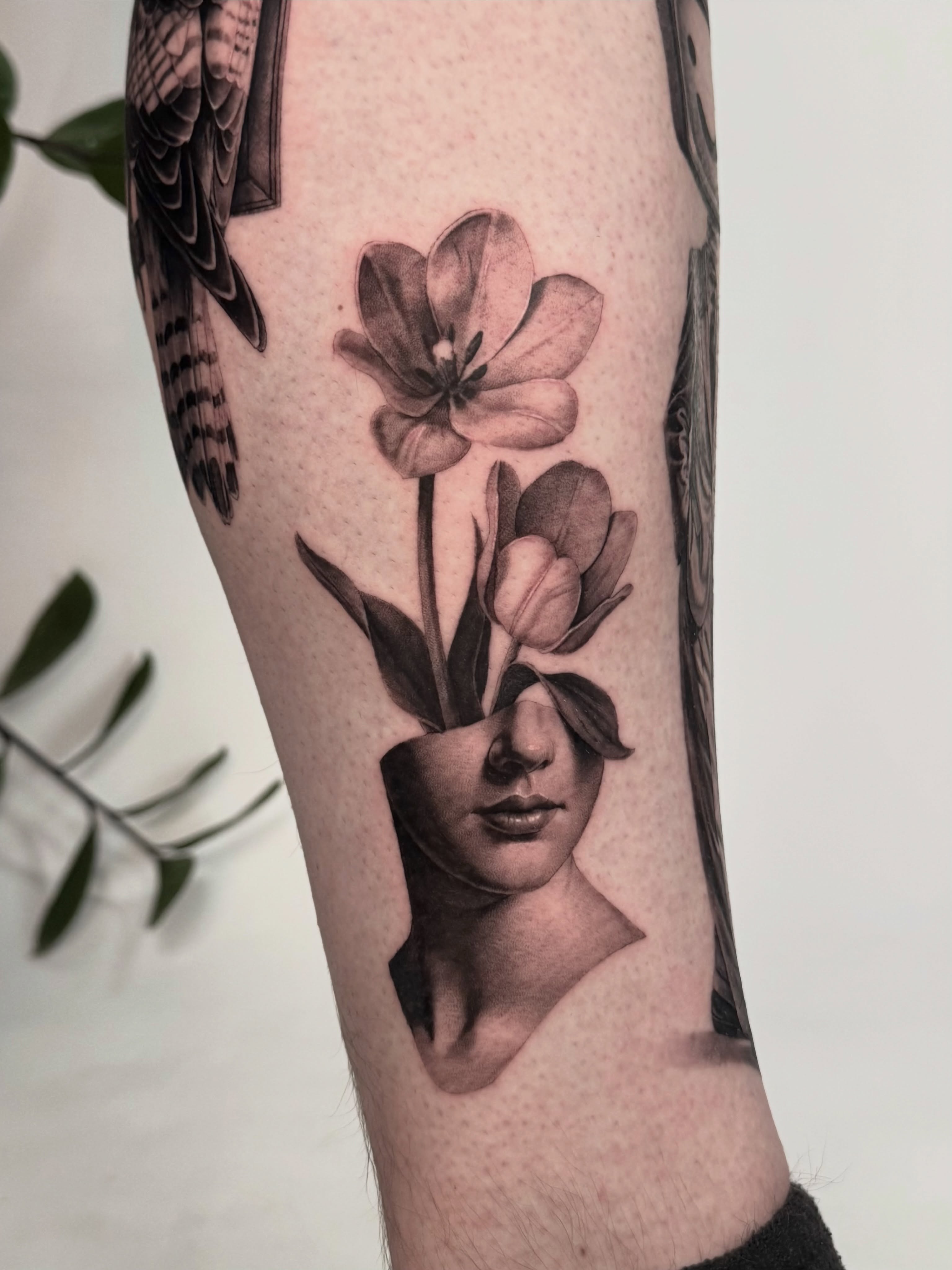 Flower, Rose