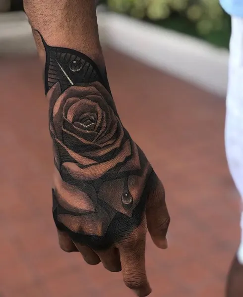 Flower, Rose