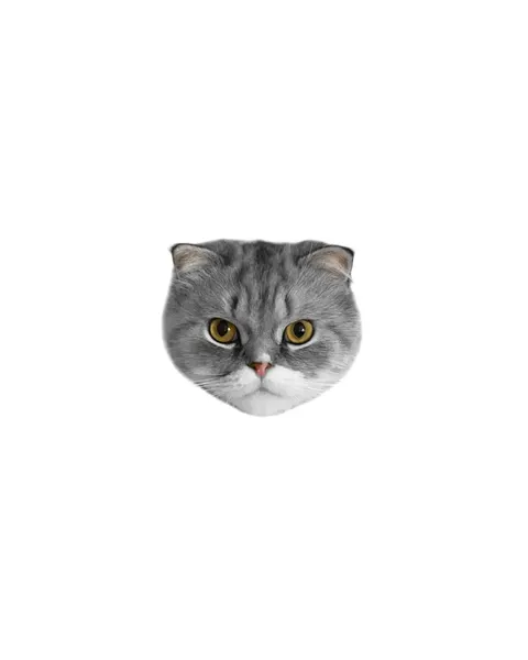 고양이, 마네키네코