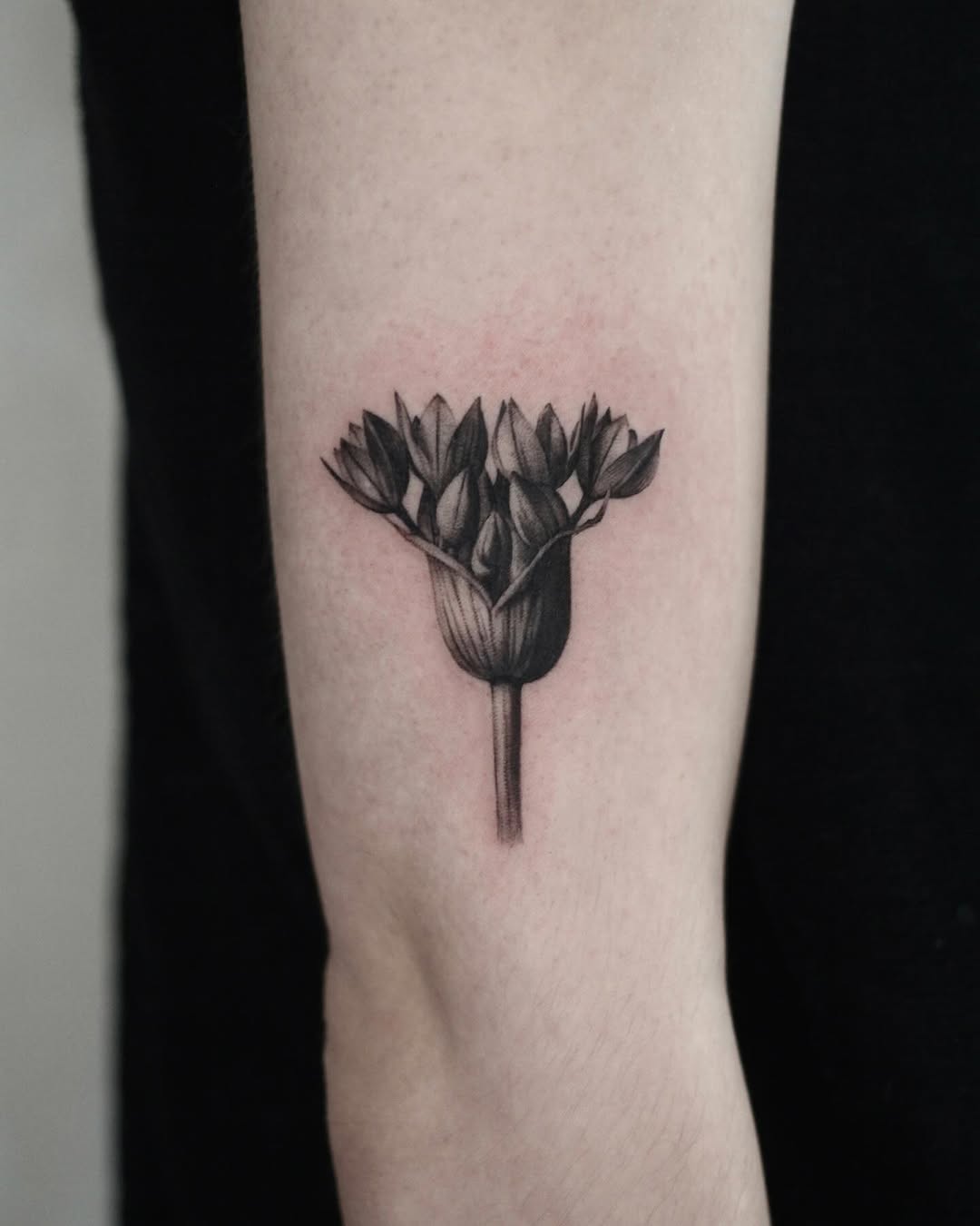 40.tatt
