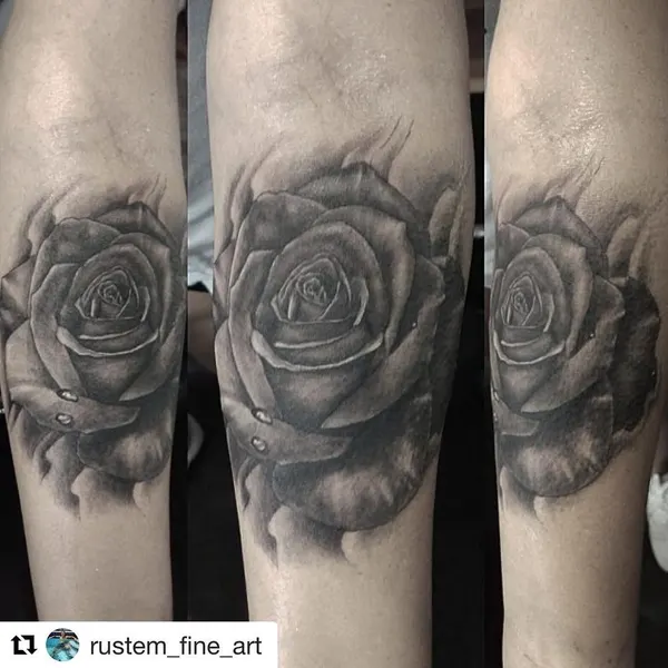 Flower, Rose