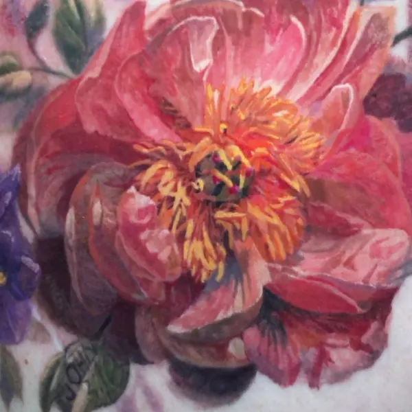 Rose, Flower