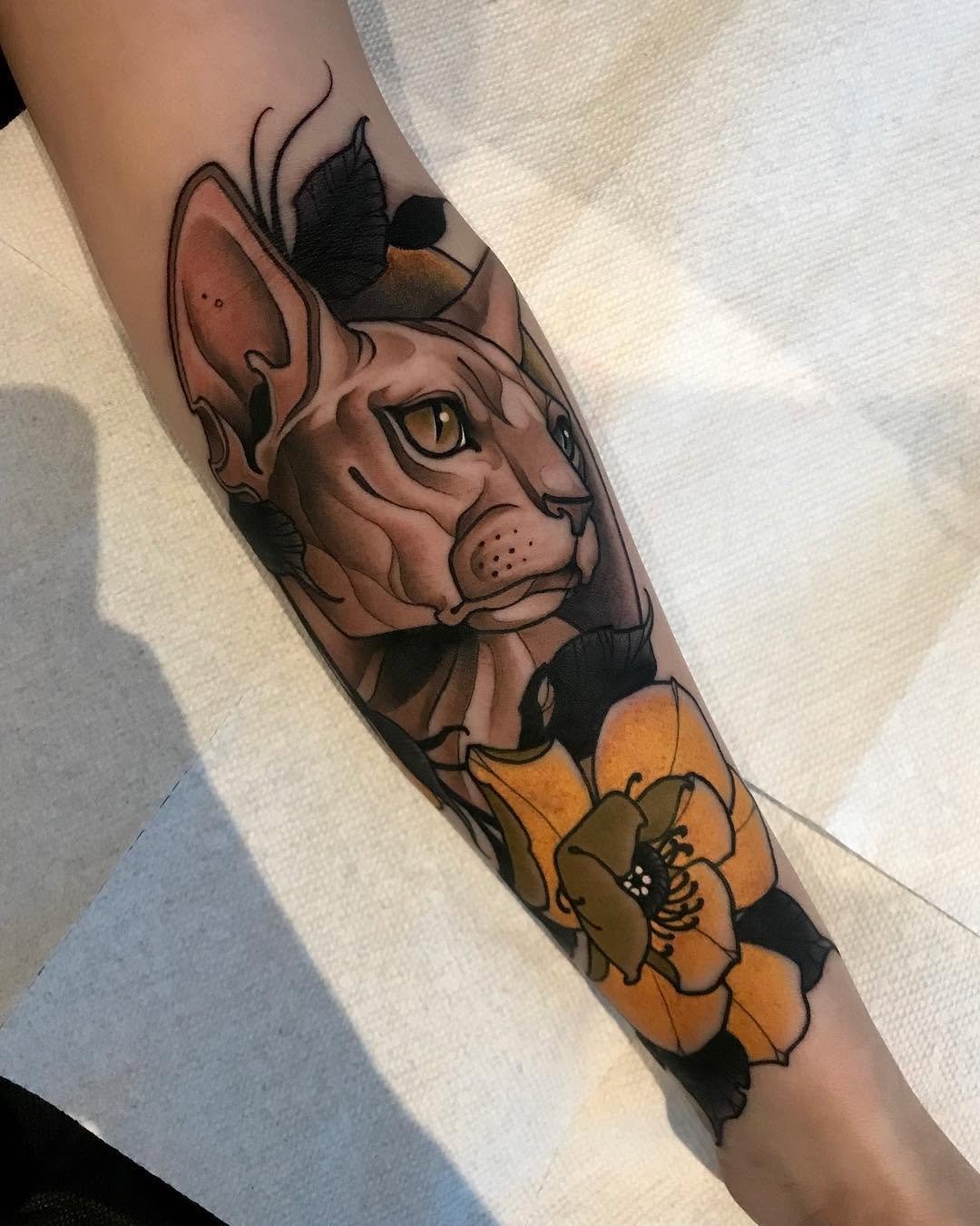 Animal, Tiger