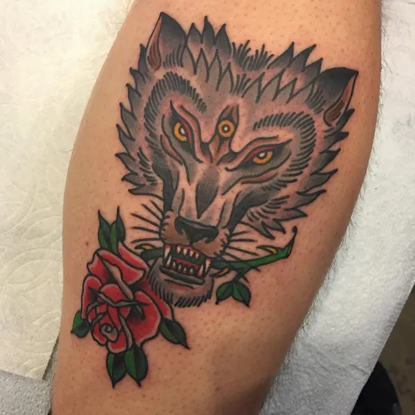 Animal, Tiger