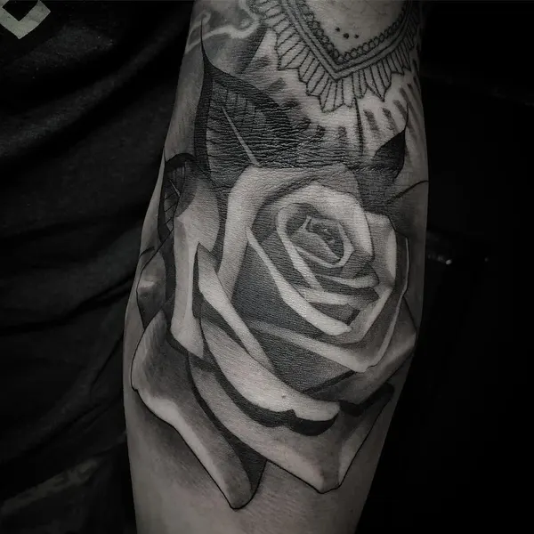 Flower, Rose