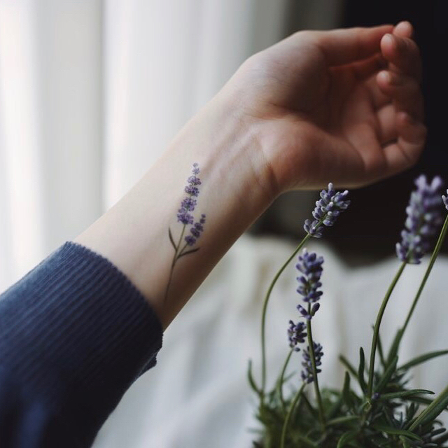 Flower, 라벤더, 허브