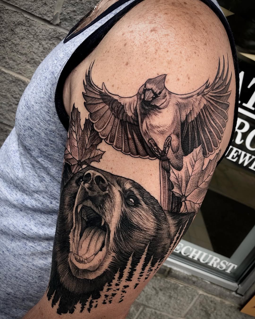 Animal