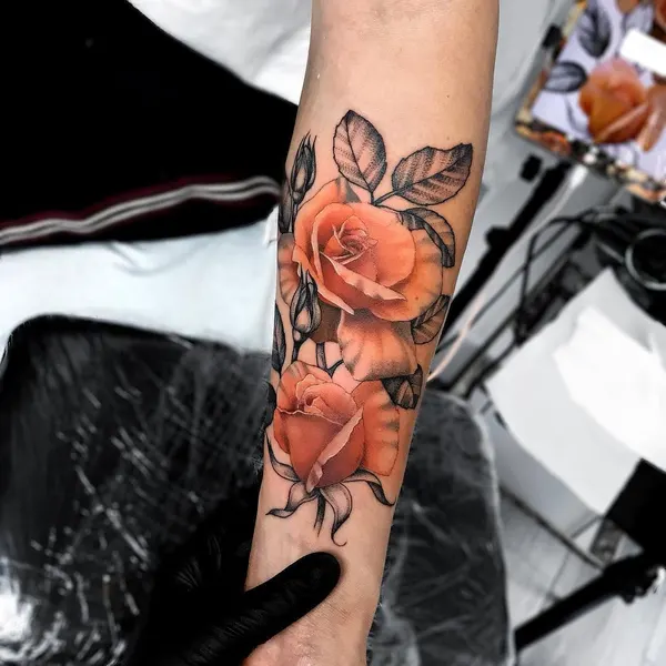 Flower, Rose