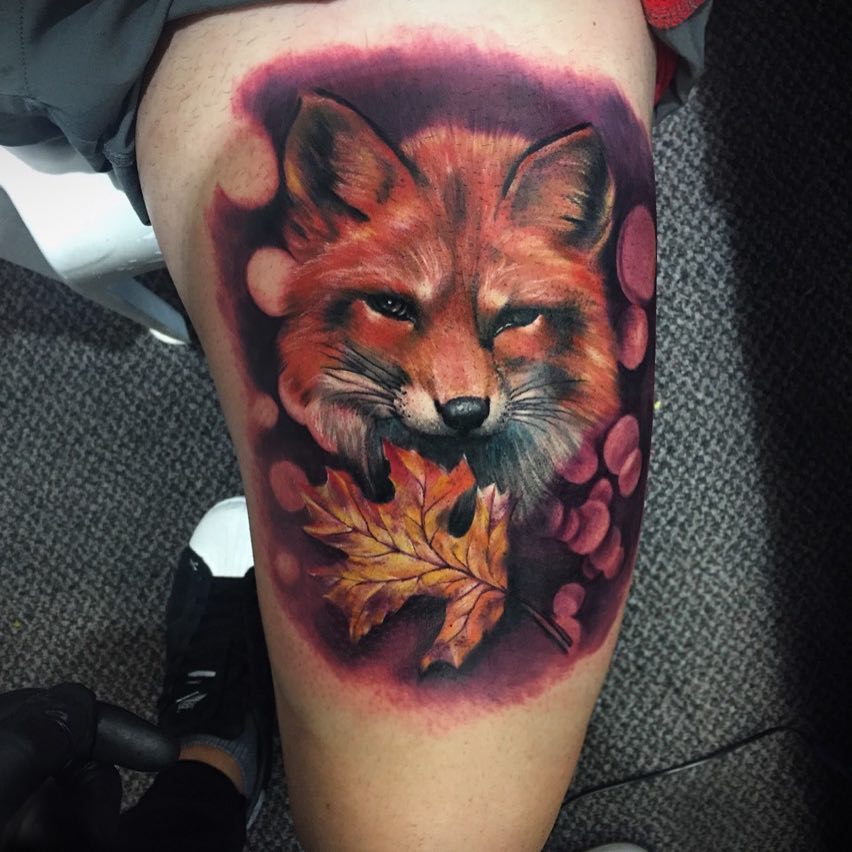 Animal, 여우