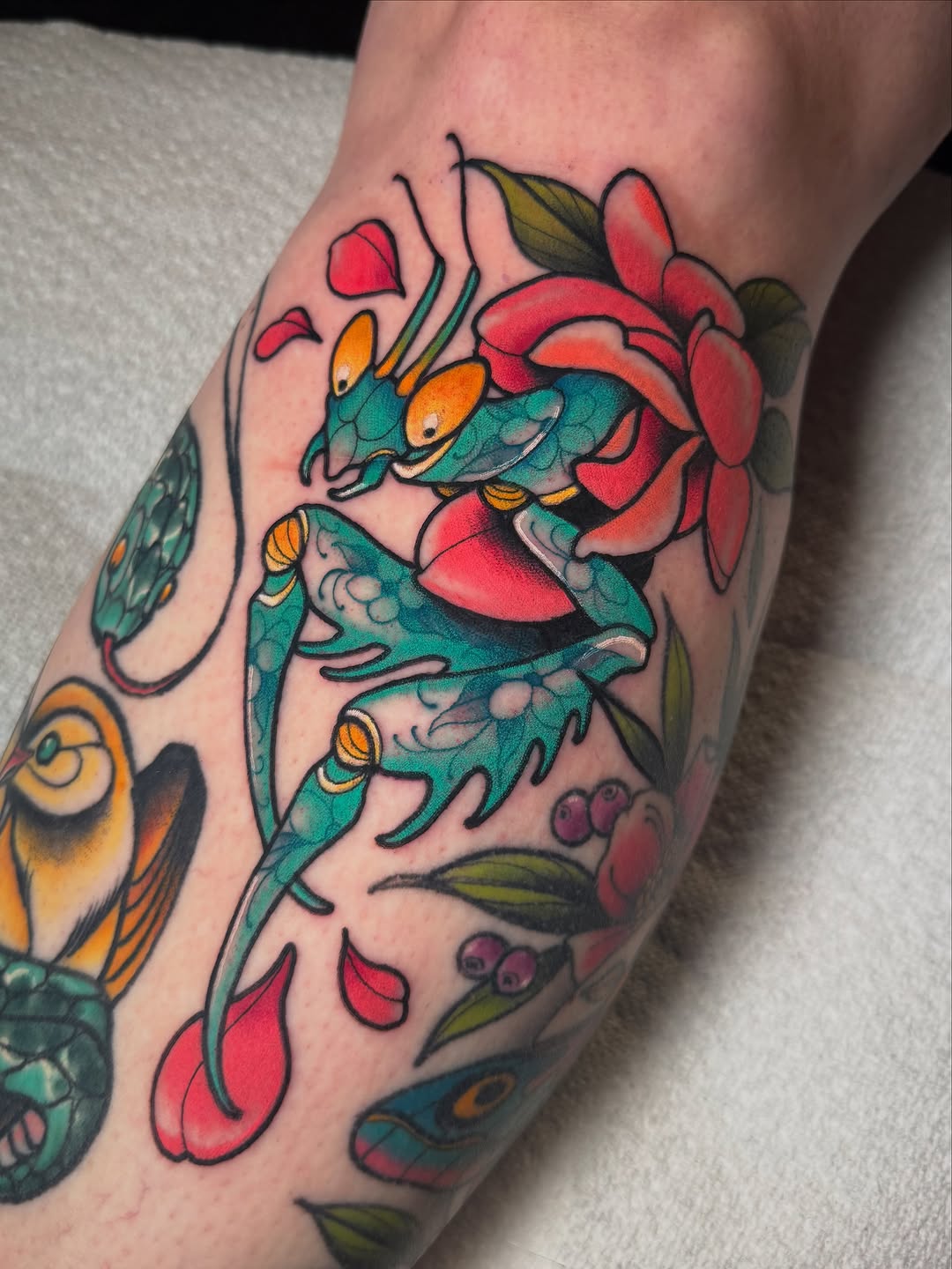 Dragon