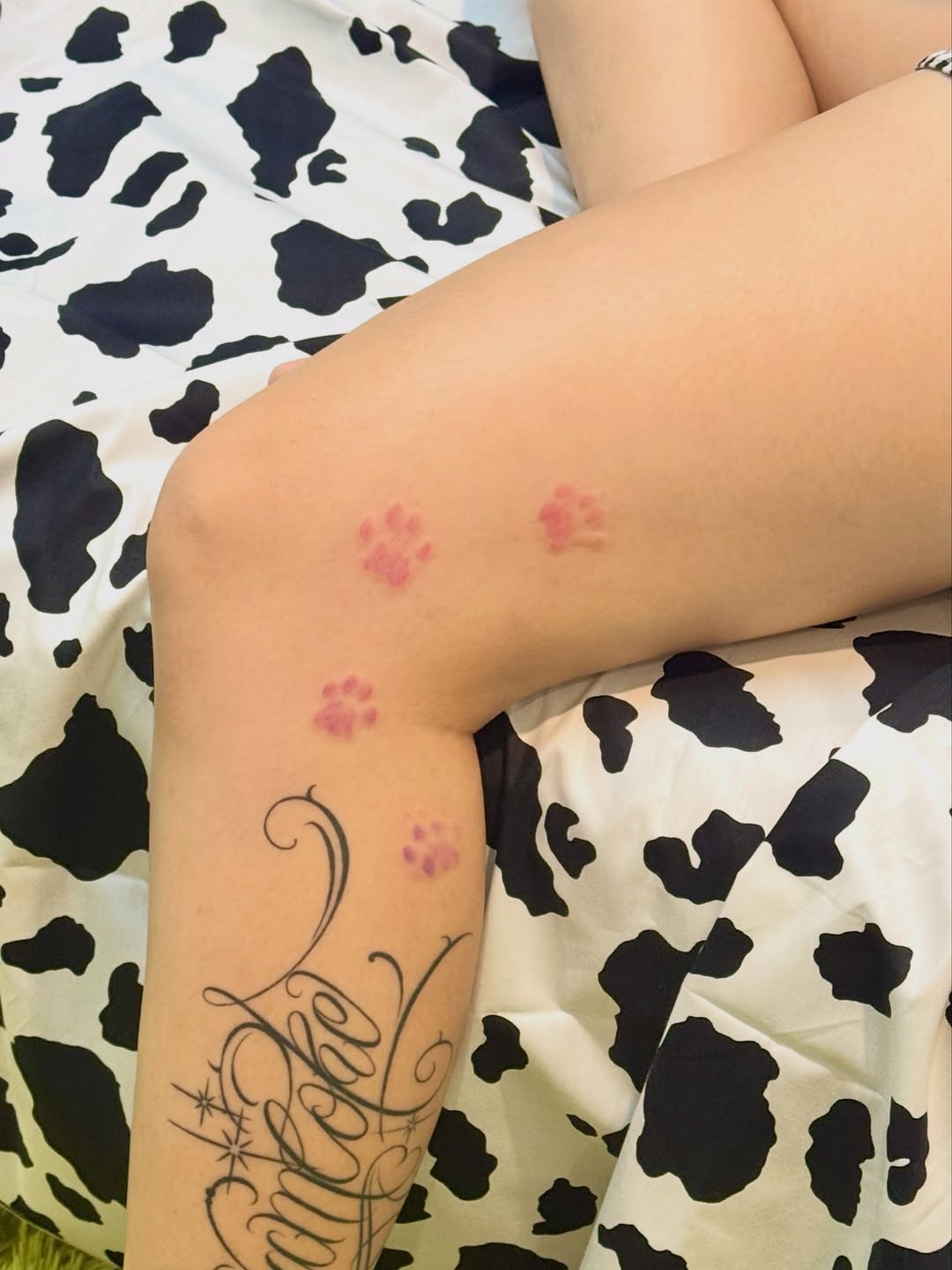 miaa_tattat