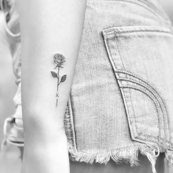 Flower, Rose