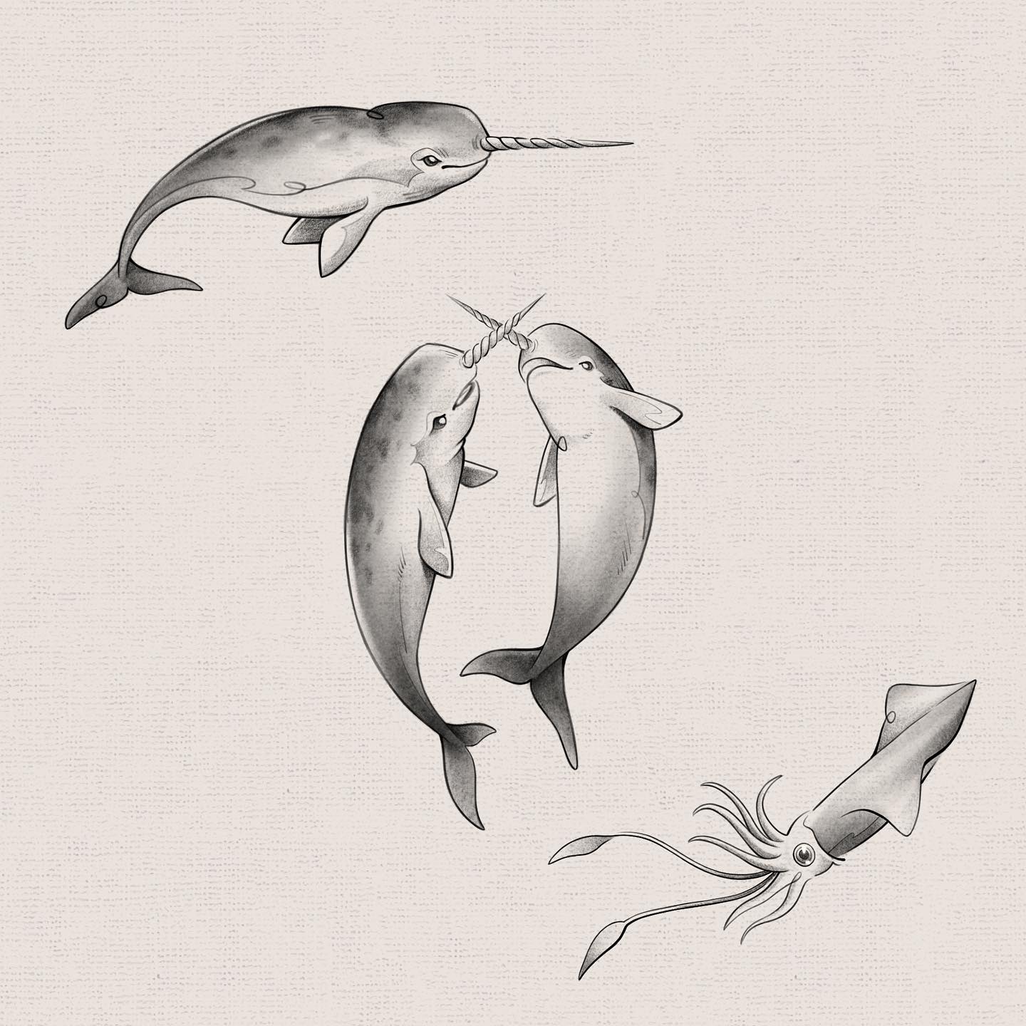 Nature, Animal
