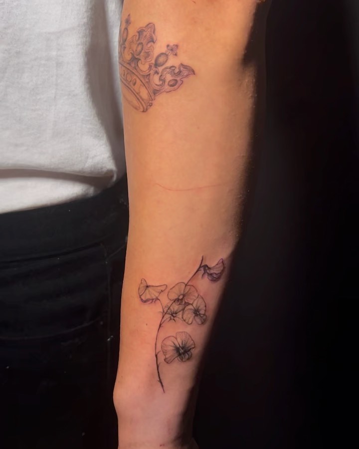 olivia.tats
