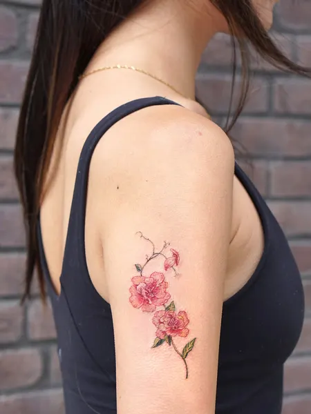 Flower, Rose, Nature