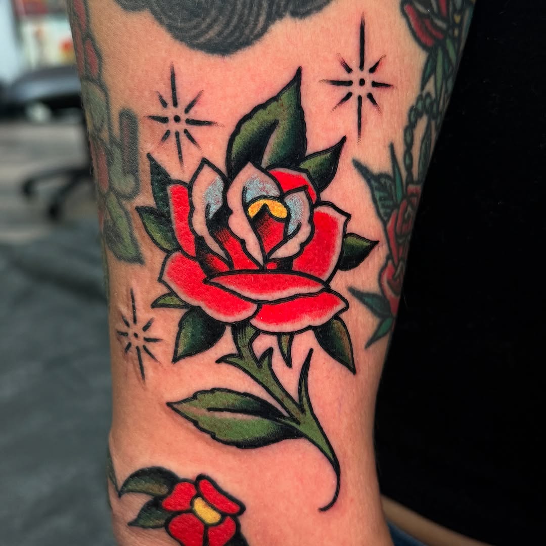 Flower, Rose