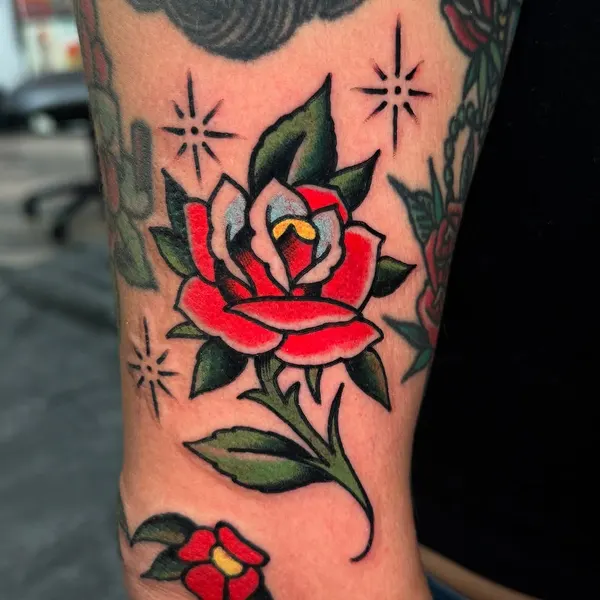Flower, Rose