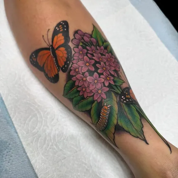 Animal, Nature, Flower