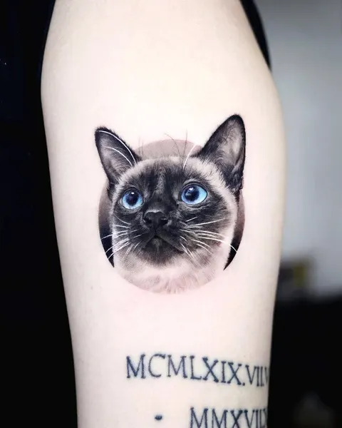 고양이