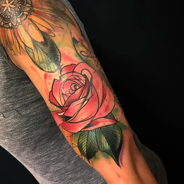 Flower, Rose