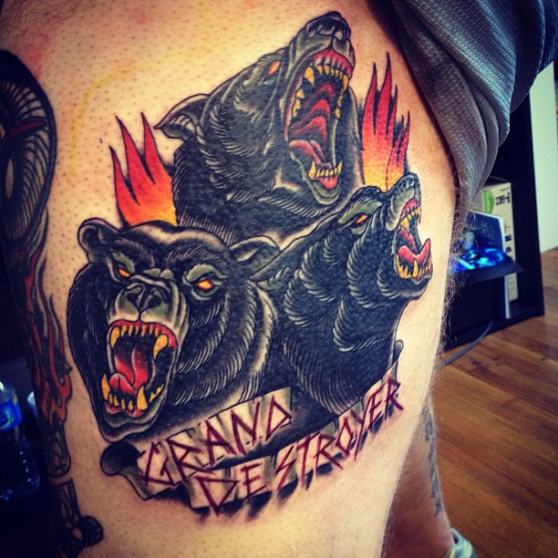 Animal, Tiger