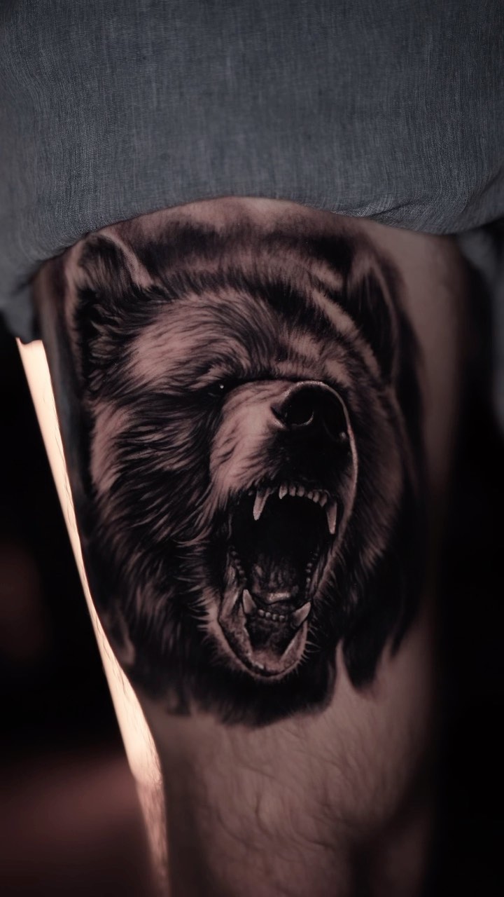 Animal
