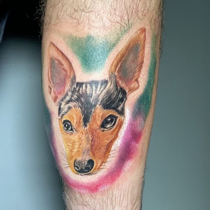 Animal