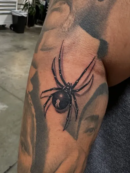 Animal