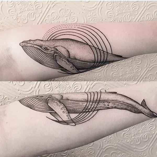 equilattera