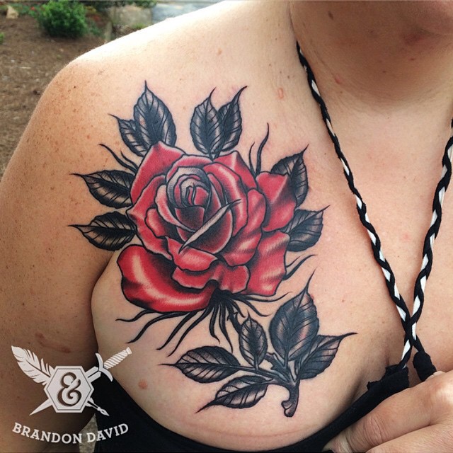 Flower, Rose, Nature