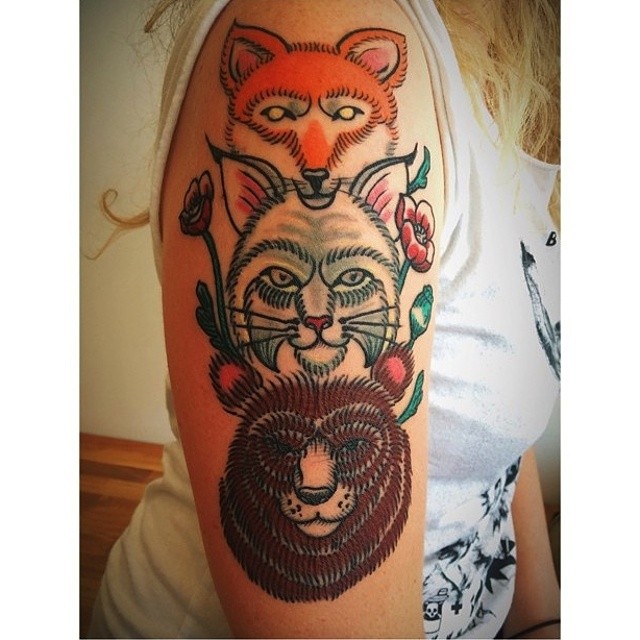 Animal, Tiger