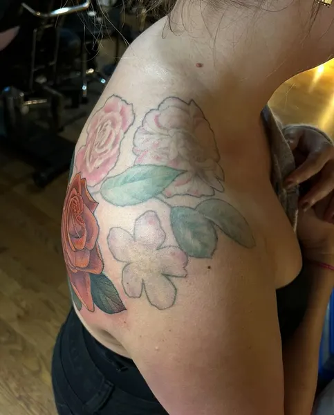 Flower, Rose, Nature