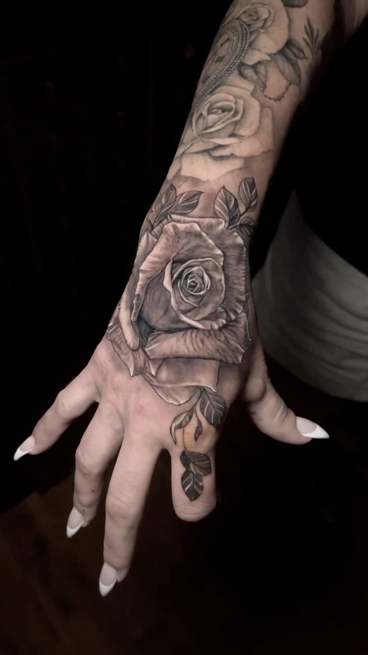 Flower, Rose