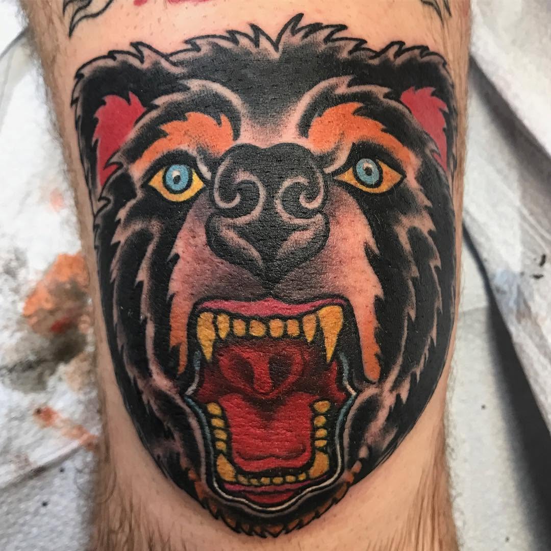 Animal, Tiger