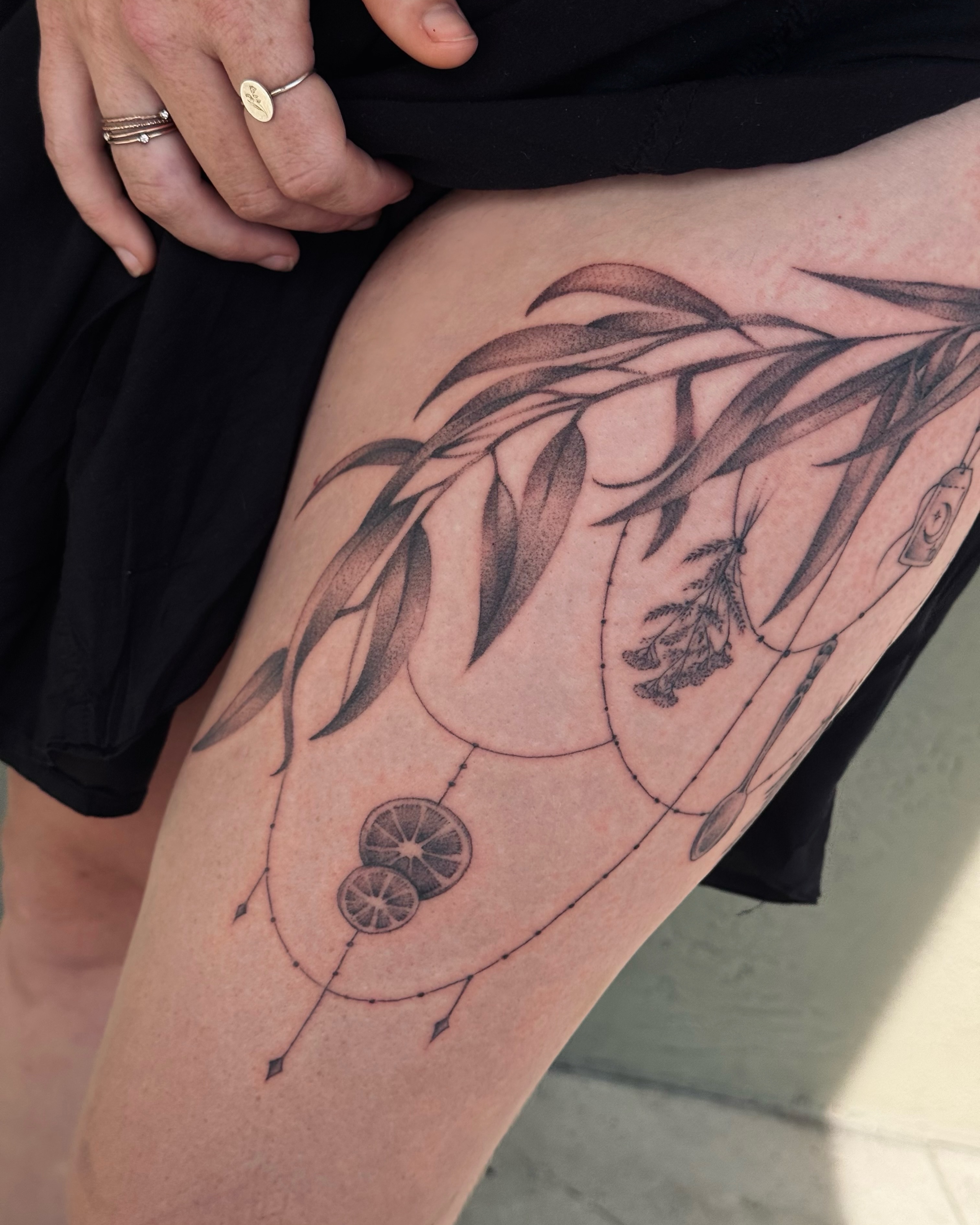 Flower, 풀, 잎, 대나무, 단풍잎