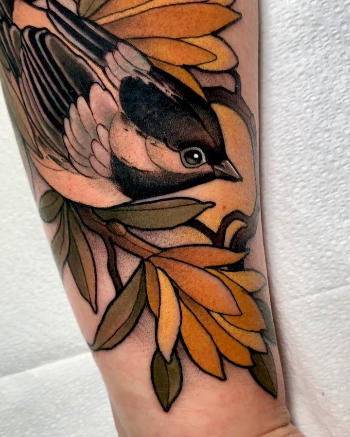 Animal