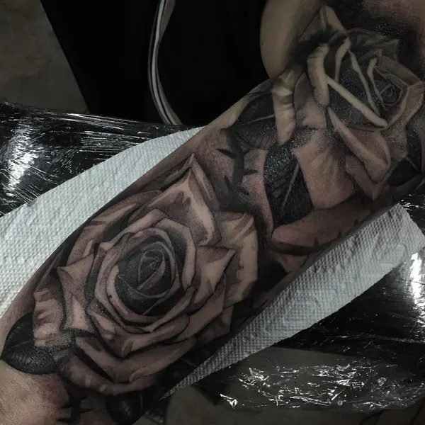 Flower, Rose