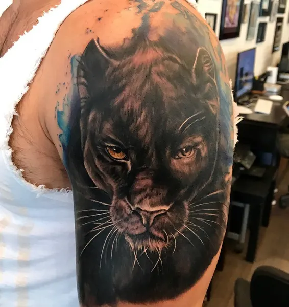 Animal