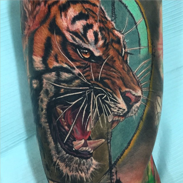 Tiger