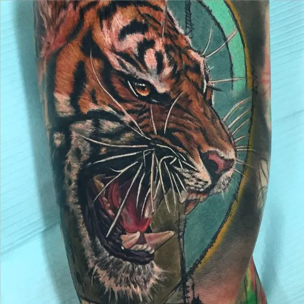 Tiger