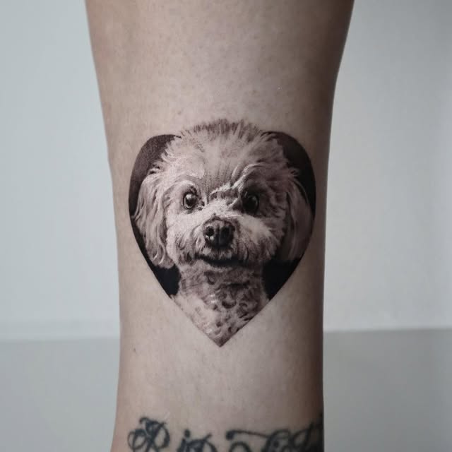 kate_sv_art