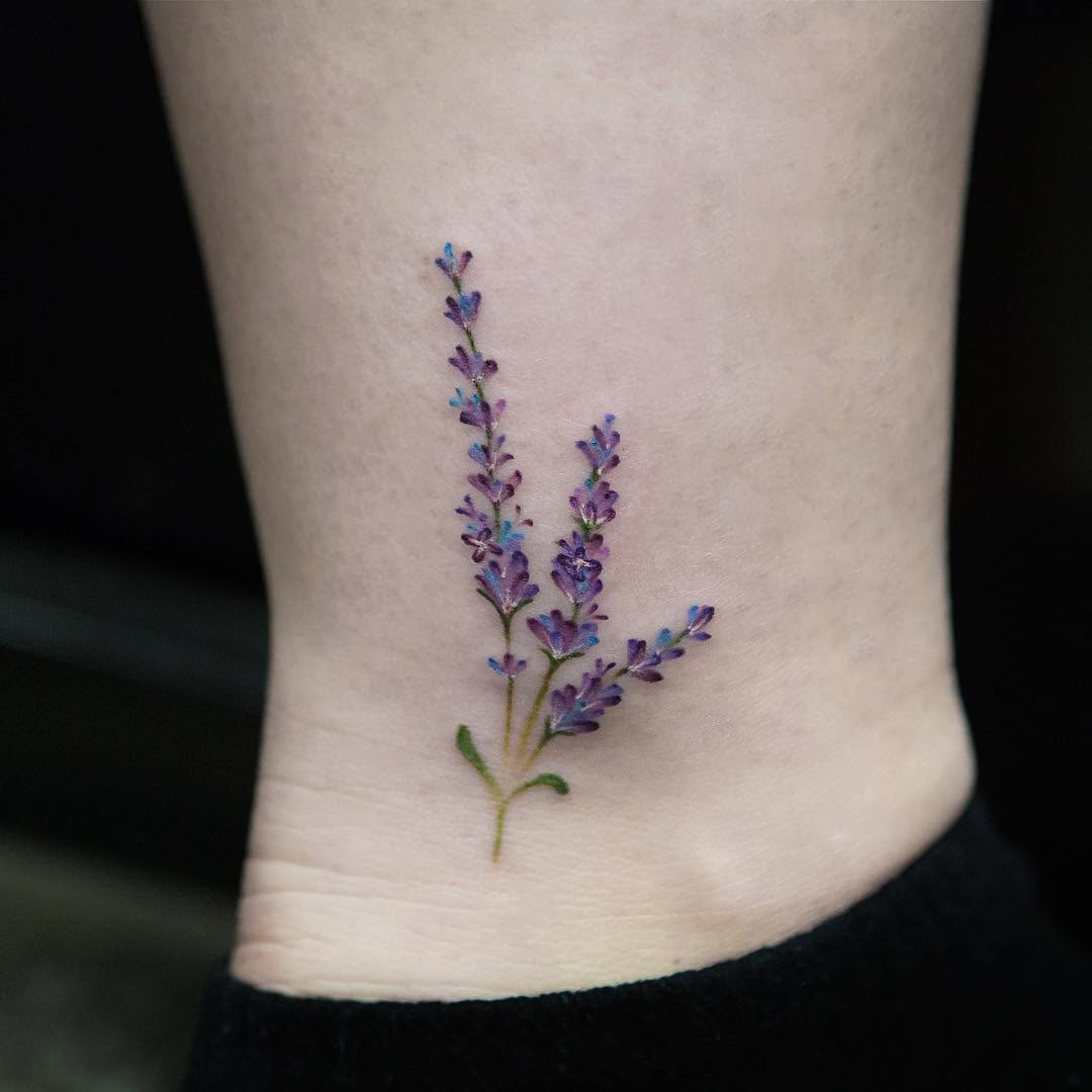풀, Flower, 허브, 라벤더, 나뭇가지, Nature