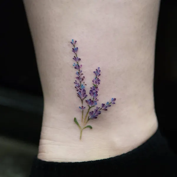 풀, Flower, 허브, 라벤더, 나뭇가지, Nature