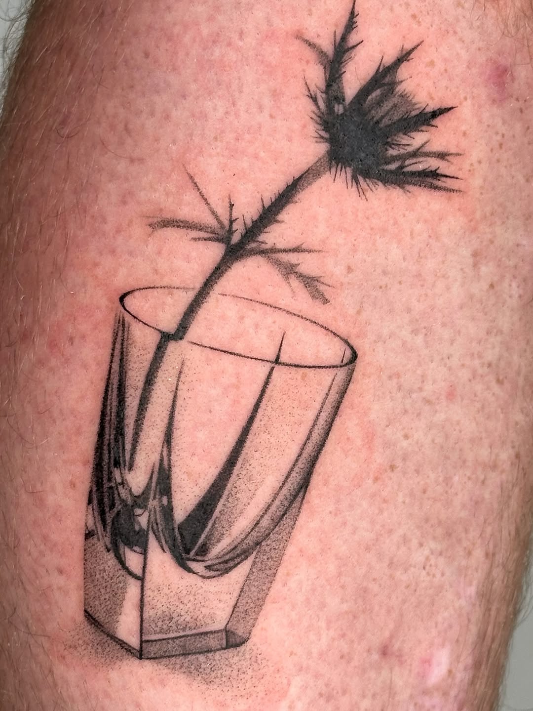 plantsnpokes