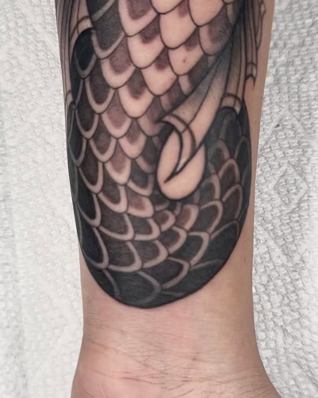 Dragon, 인어