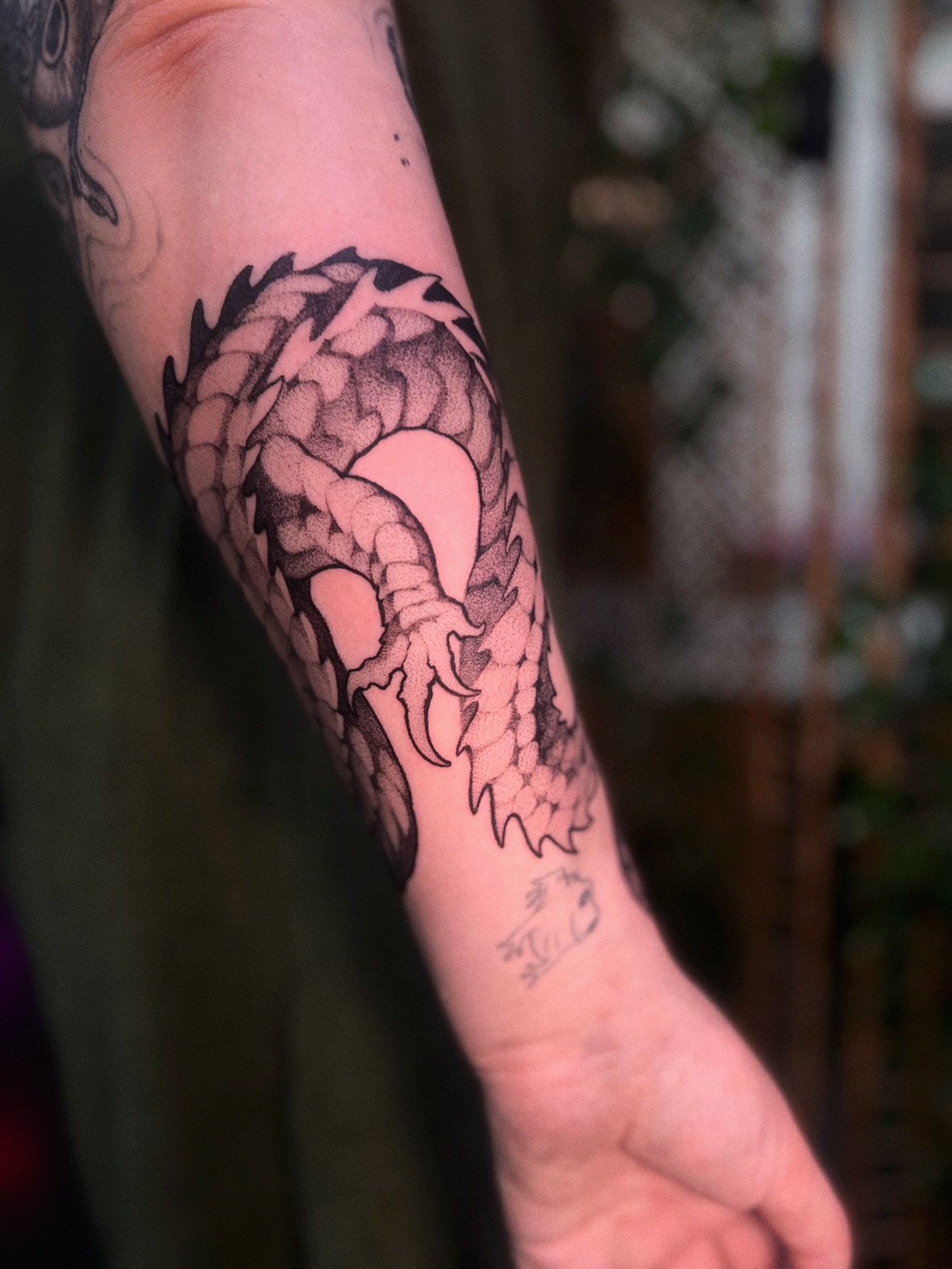 Dragon