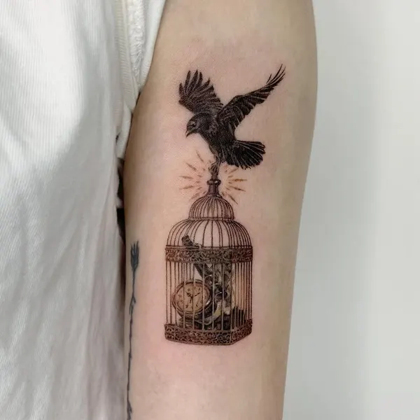 Animal, Nature
