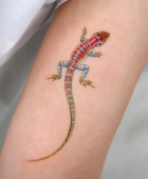 도마뱀, Dragon